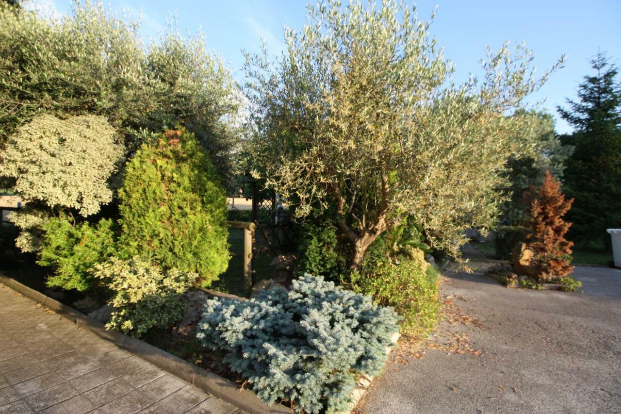 Bed and Breakfast Il Casale Di Nonno Guido Monterado Экстерьер фото