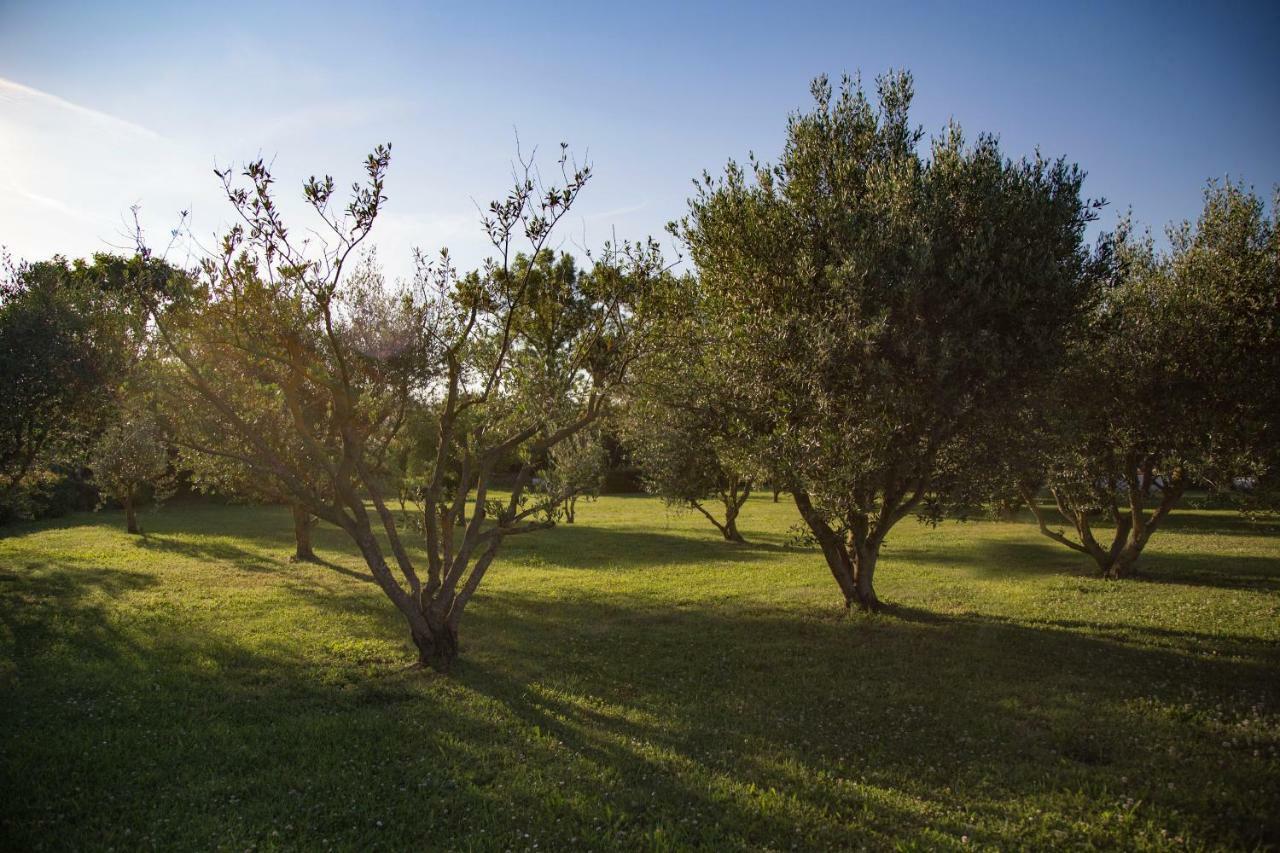 Bed and Breakfast Il Casale Di Nonno Guido Monterado Экстерьер фото