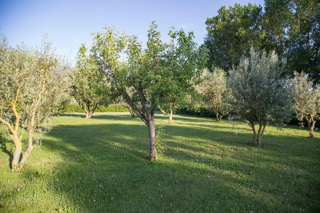 Bed and Breakfast Il Casale Di Nonno Guido Monterado Экстерьер фото