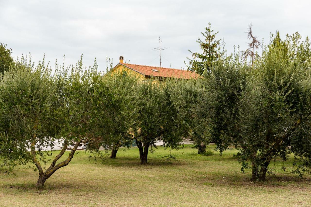 Bed and Breakfast Il Casale Di Nonno Guido Monterado Экстерьер фото