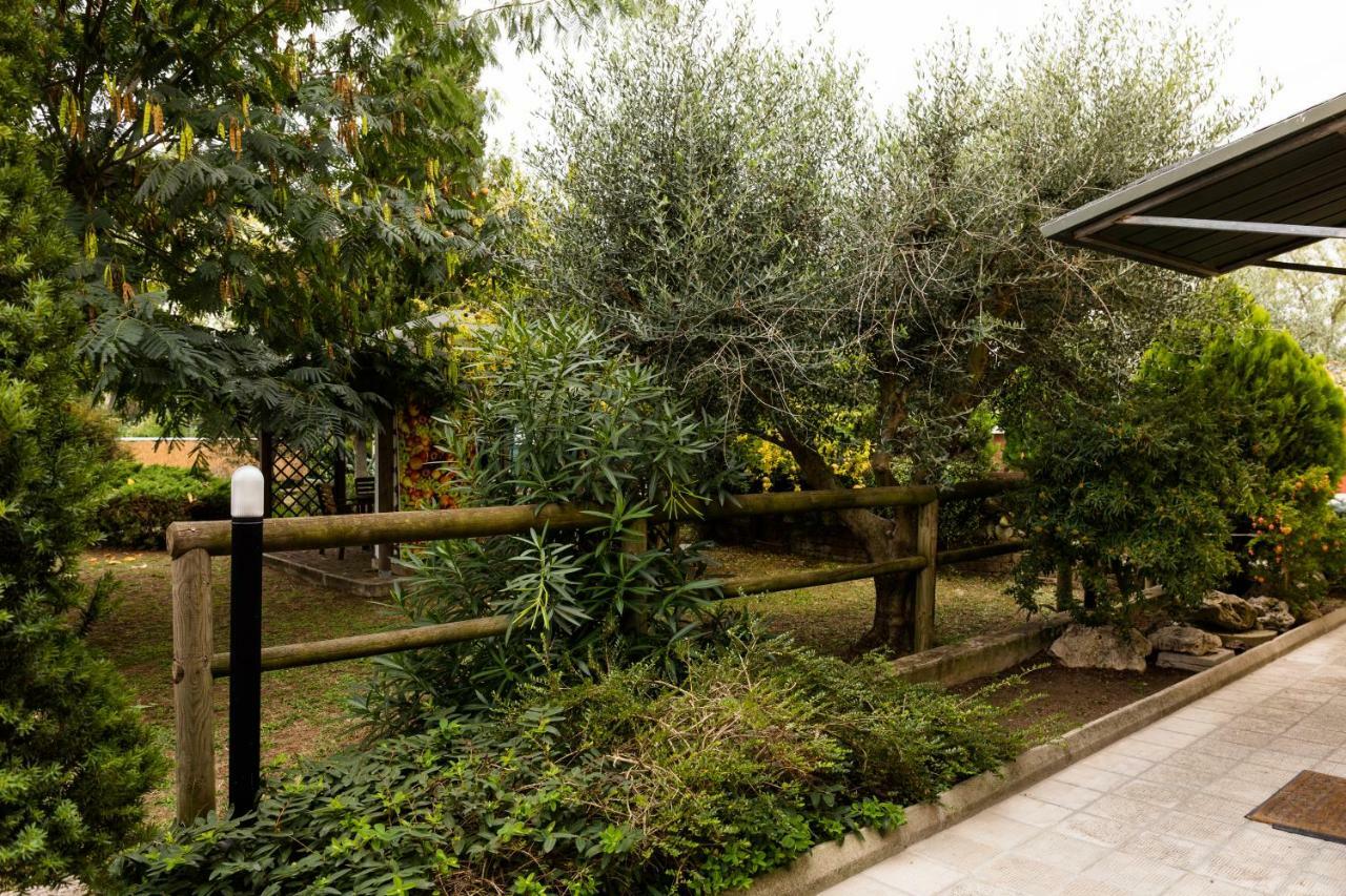 Bed and Breakfast Il Casale Di Nonno Guido Monterado Экстерьер фото